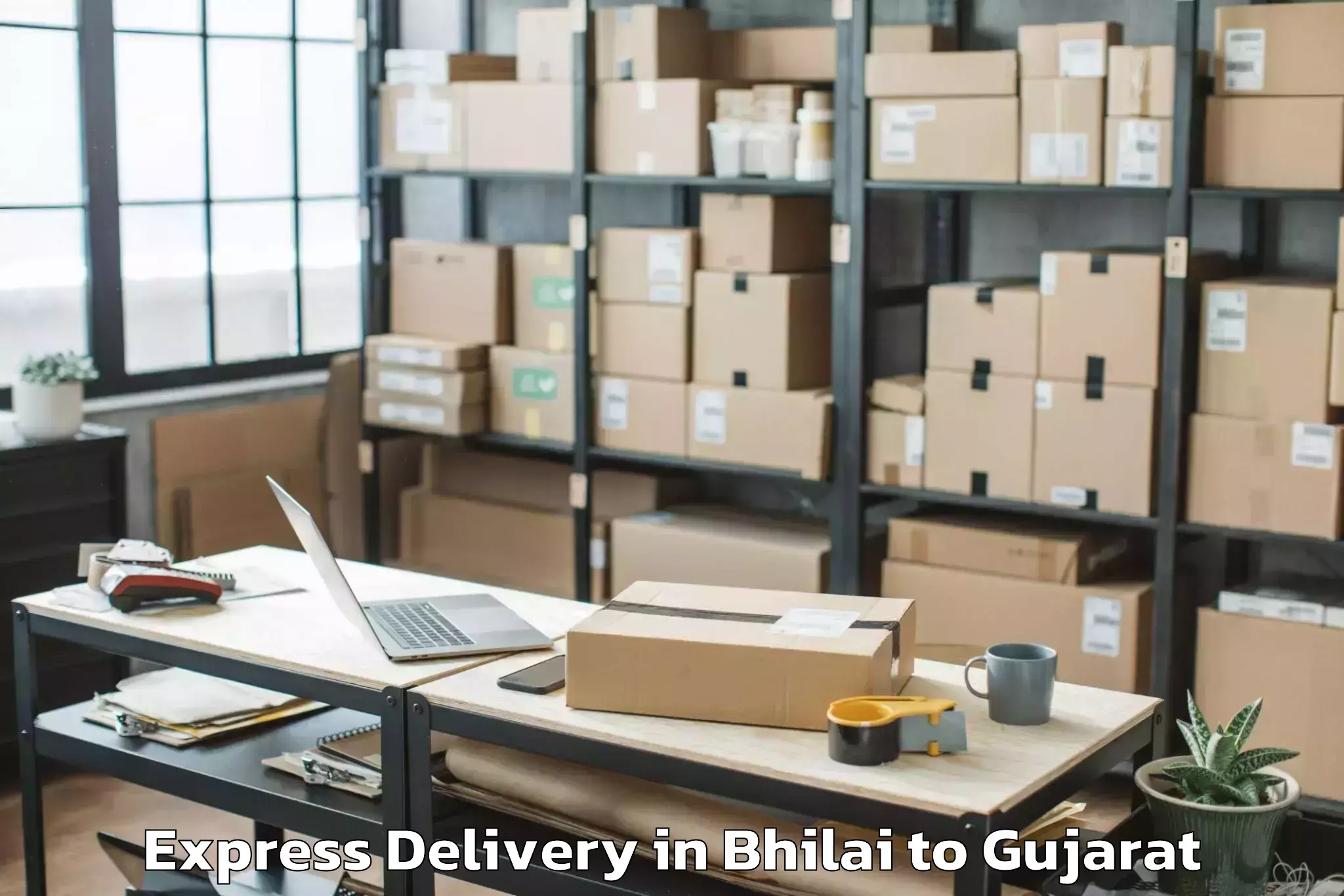 Top Bhilai to Navsari Agricultural Universit Express Delivery Available